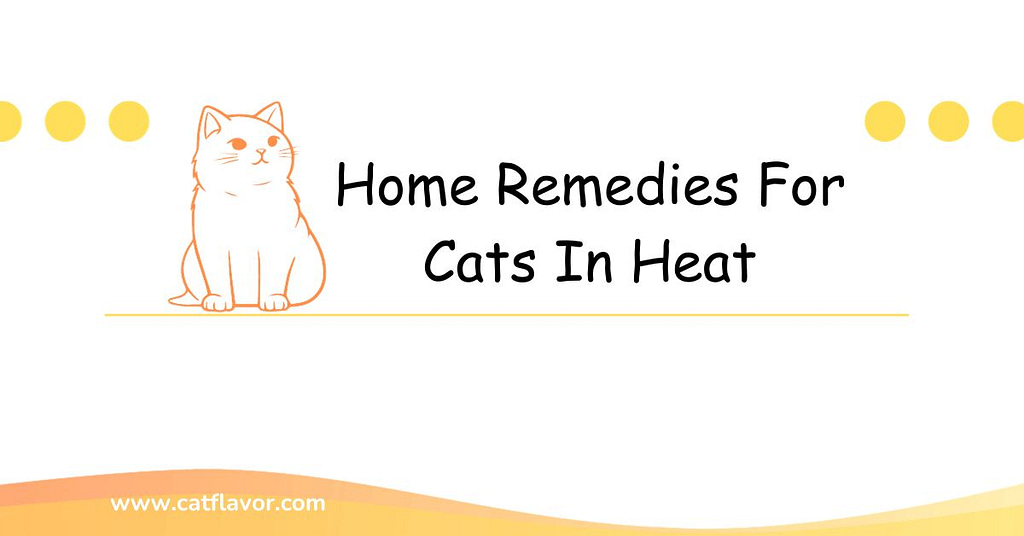Home Remedies For Cats In Heat
