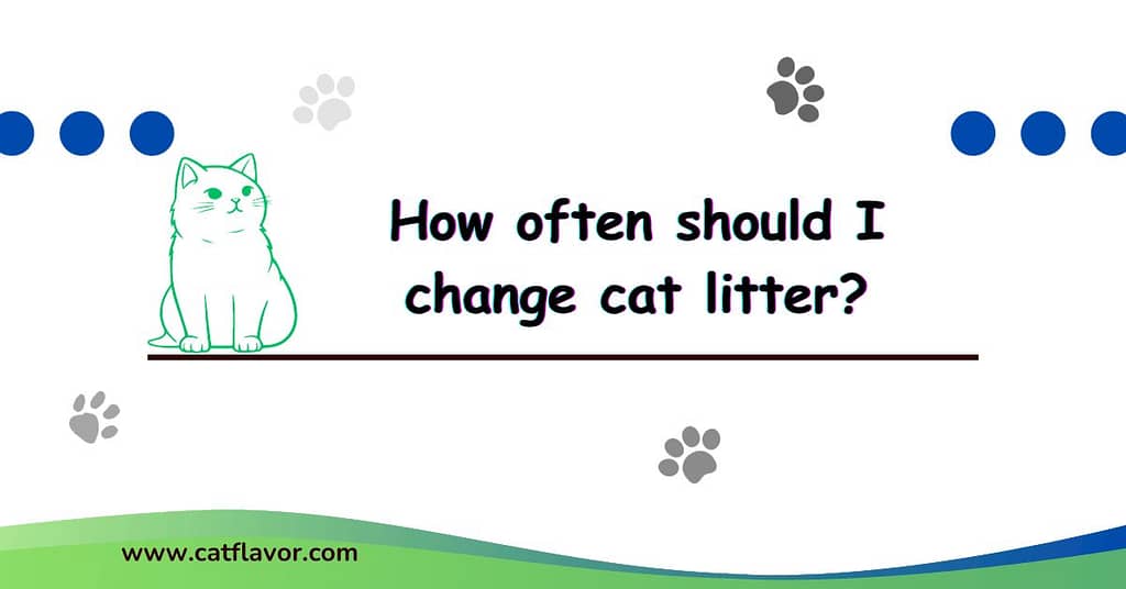 How often should I change cat litter