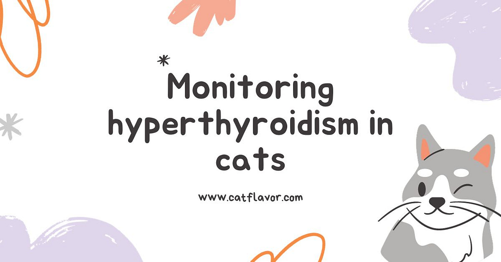 Monitoring hyperthyroidism in cats