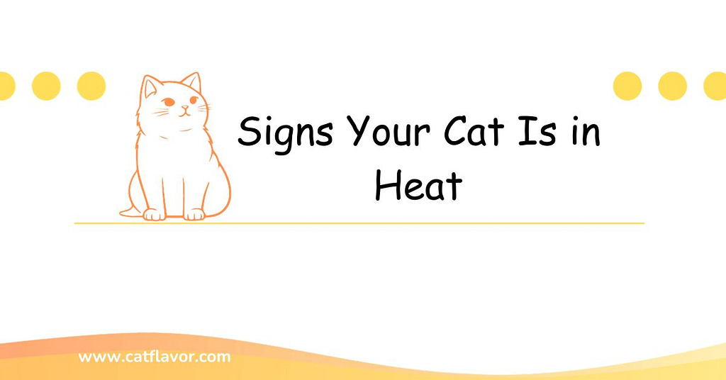 Signs Your Cat Is in Heat