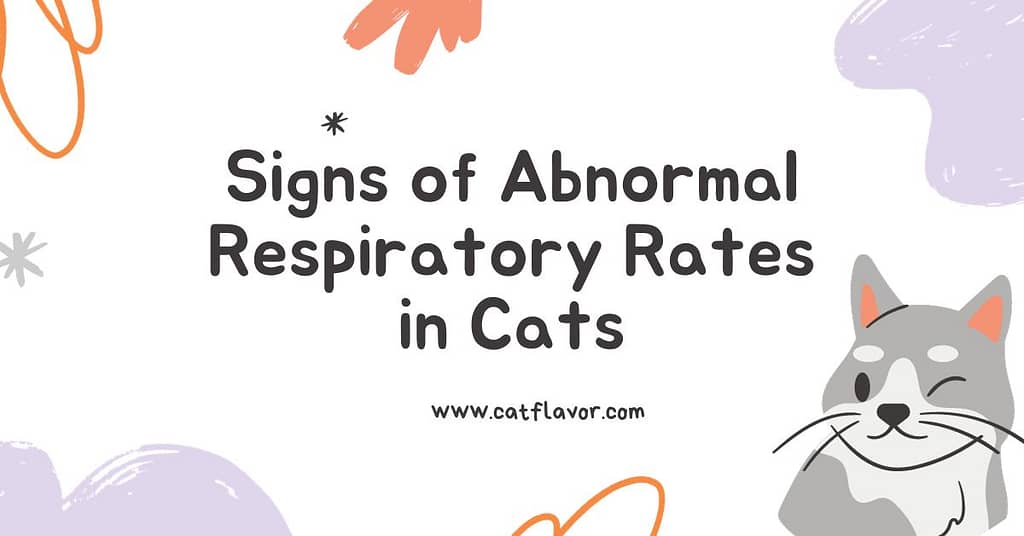 What Is The Normal Respiratory Rate For Cats 