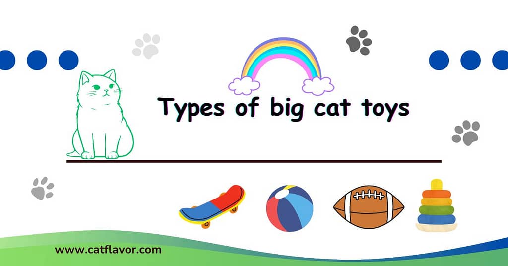 Types of big cat toys