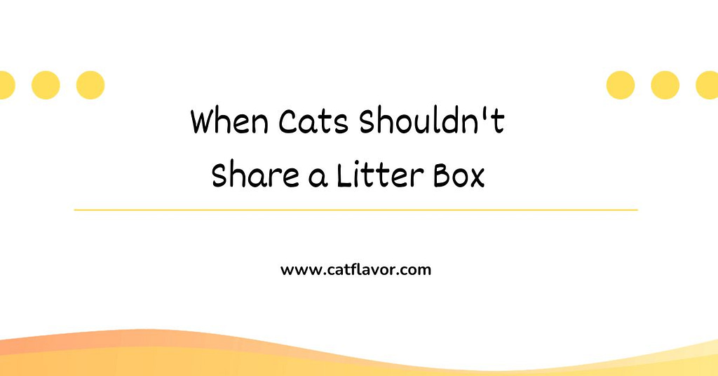 When Cats Shouldn't Share a Litter Box