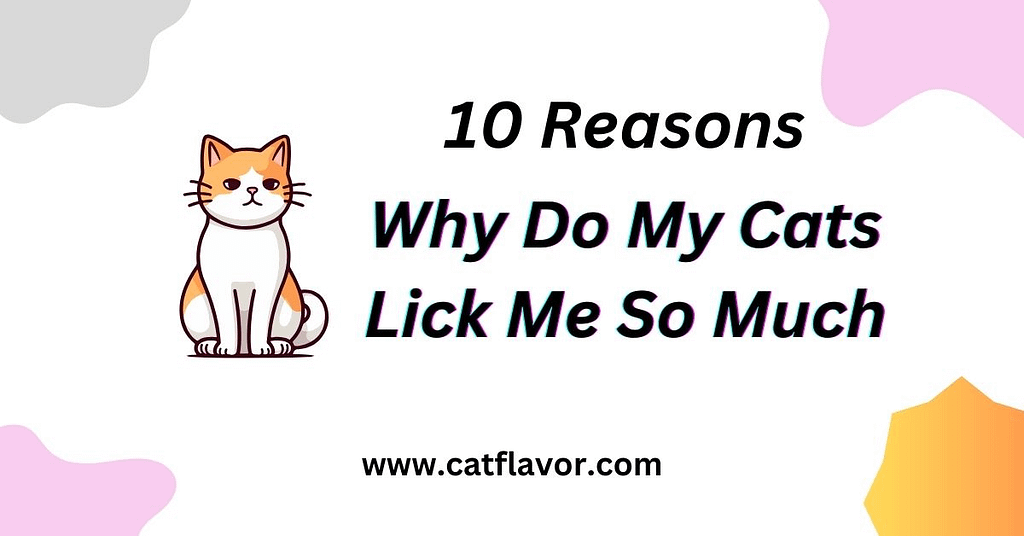 10 Reasons: Why do my cats lick me?