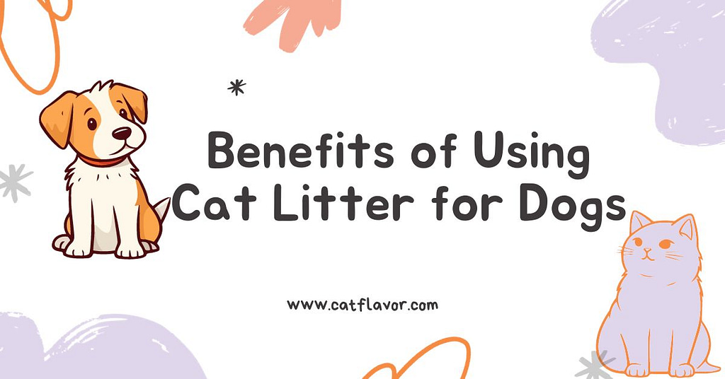 Benefits of Using Cat Litter for Dogs