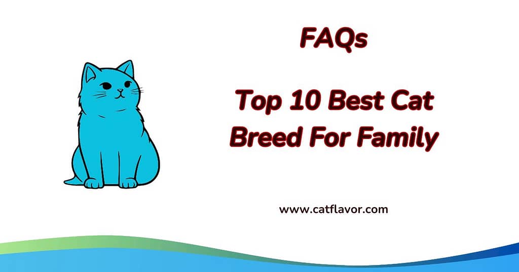 Best Cat Breed For Family