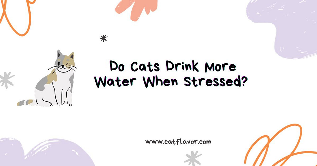 Do Cats Drink More Water When Stressed 