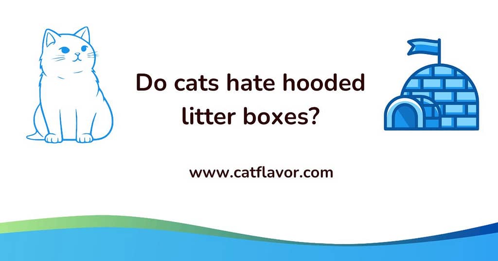Do cats hate hooded litter boxes