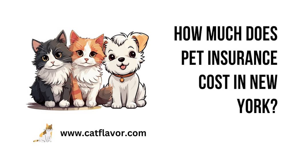 How Much Does Pet Insurance Cost in New York