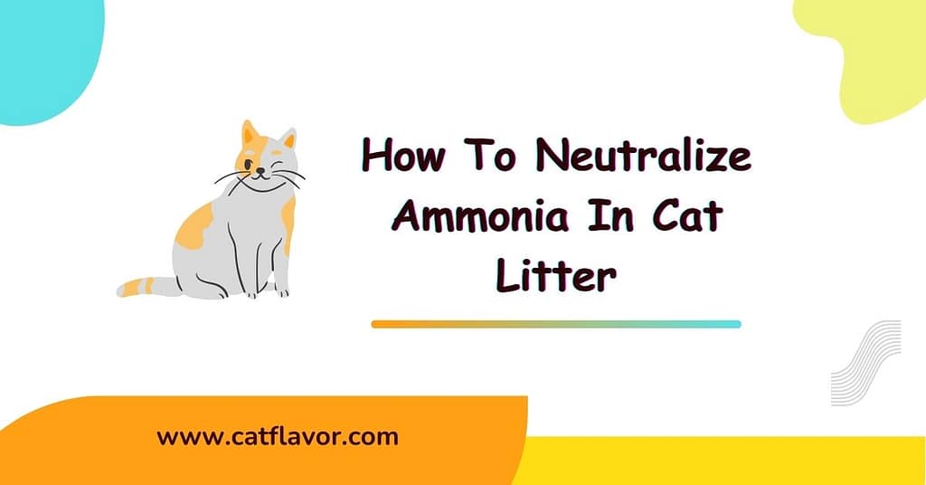 When Can Kitten Leave Their Mom