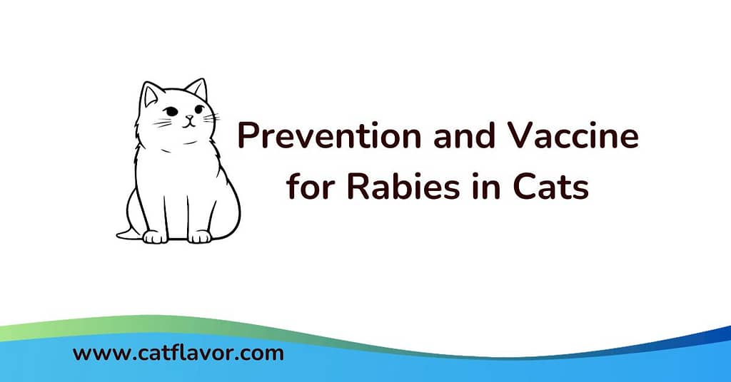 Prevention and vaccine for rabies in cats