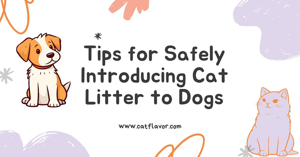 Benefits of Using Cat Litter for Dogs \Tips for Introducing Cat Litter to Dogs