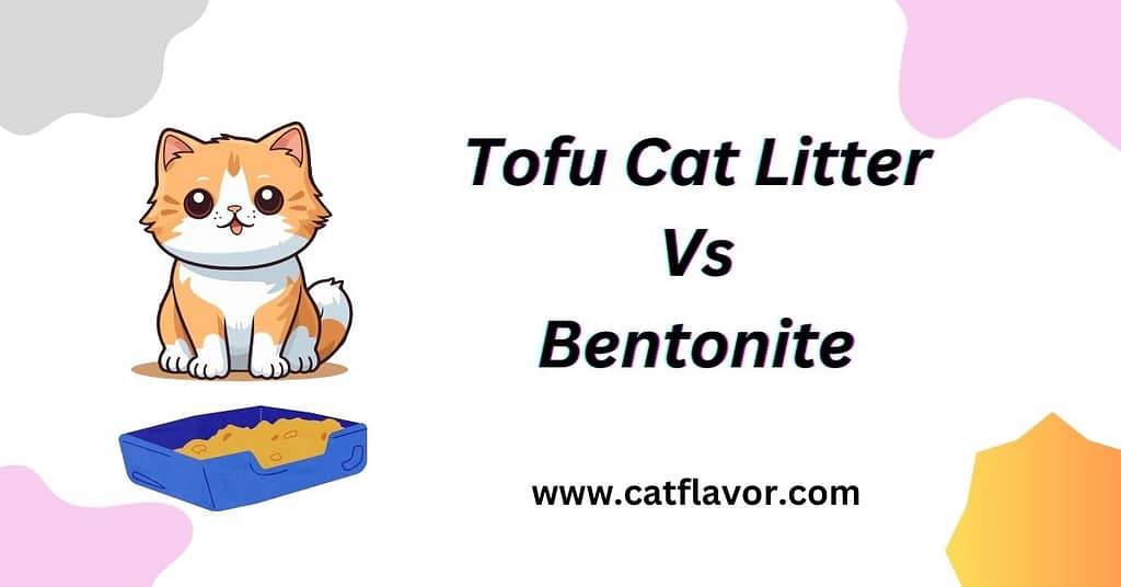 Tofu Cat Litter Vs Bentonite