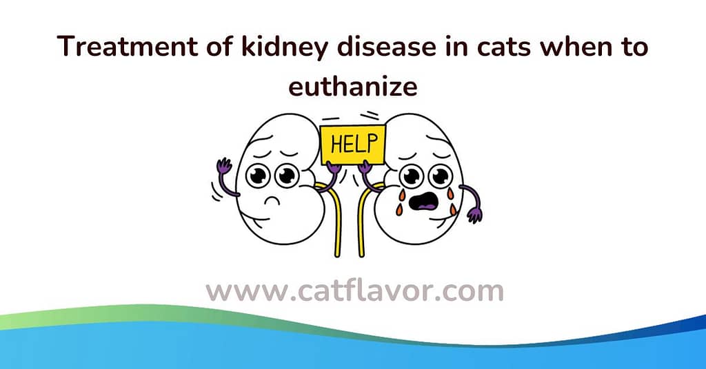 Treatment of kidney disease in cats when to euthanize