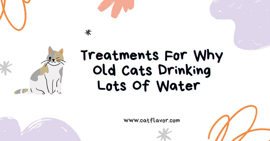 Treatments For Why Old Cats Drinking Lots Of Water 
