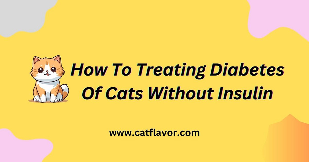 How To Treating Diabetes Of Cats Without Insulin