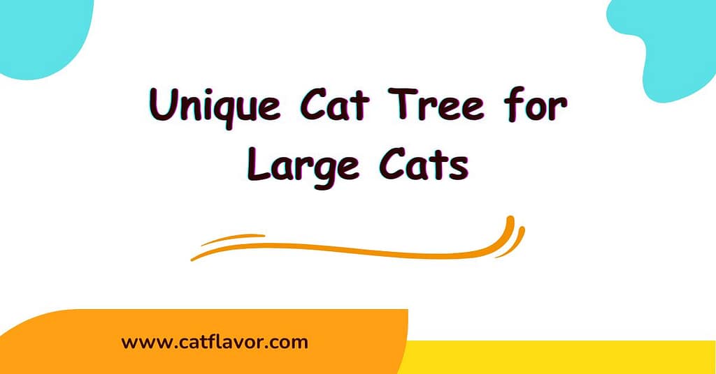 Best Indoor Cat Wheel Black Friday Deals Cat Flavor