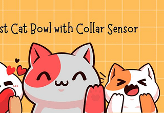 best Cat Bowl with Collar Sensor
