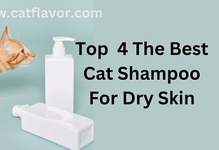Best Cat Shampoo For Dry Skin