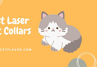 Best Laser Cat Collars