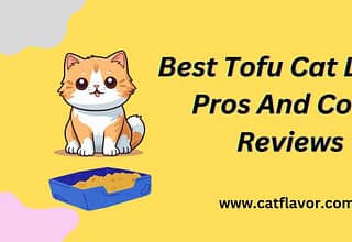 Tofu Cat Litter Pros And Cons