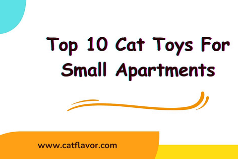 Cat Toys For Small Apartments