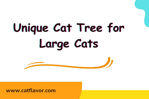 Unique Cat Tree for Large Cats