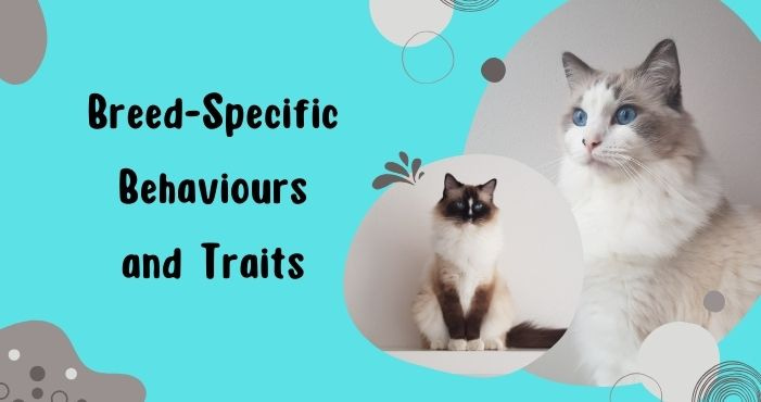 Breed-Specific Behaviours and Traits