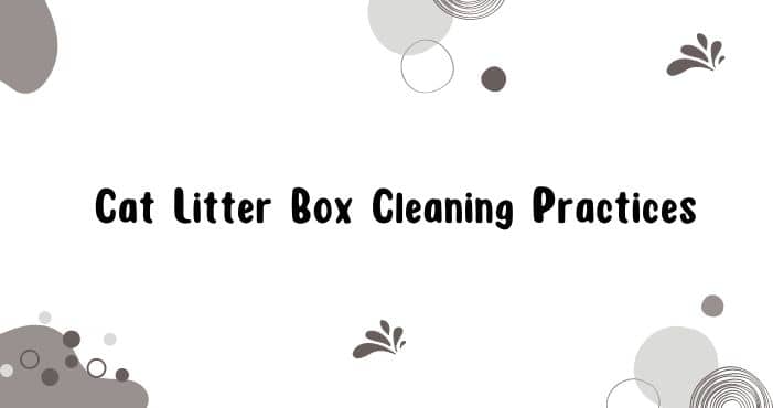 Cat Litter Box Cleaning Practices