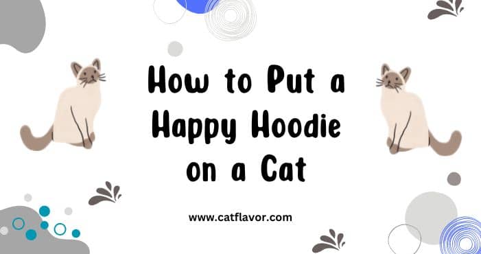 How to Put a Happy Hoodie on a Cat