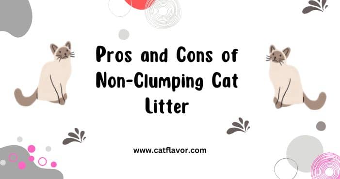 Pros and Cons of Non-Clumping Cat Litter