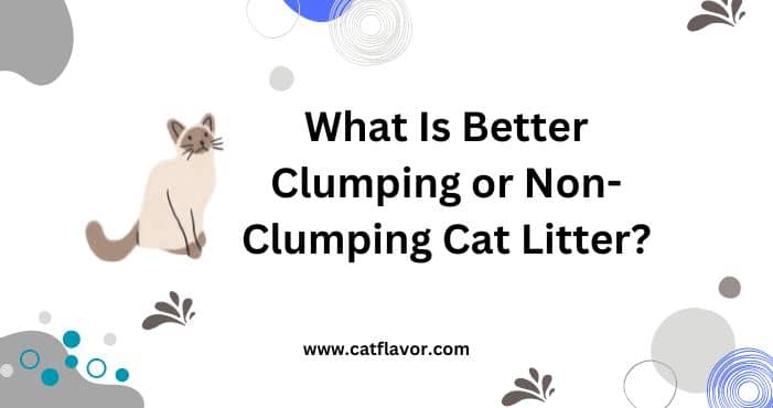 What Is Better Clumping or Non-Clumping Cat Litter