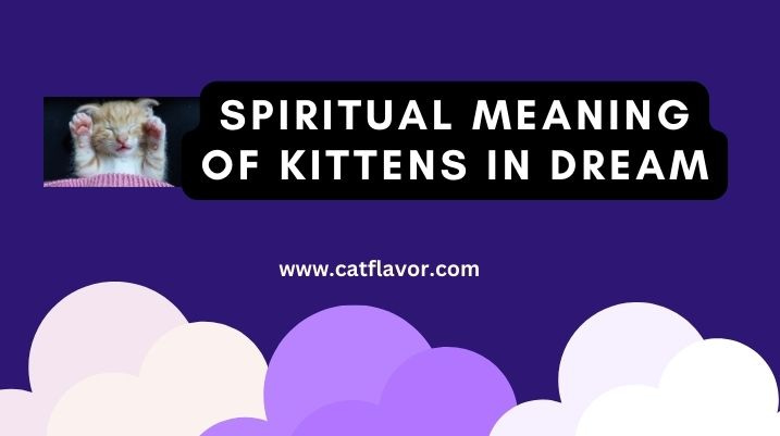 Spiritual Meaning of Kittens in Dream