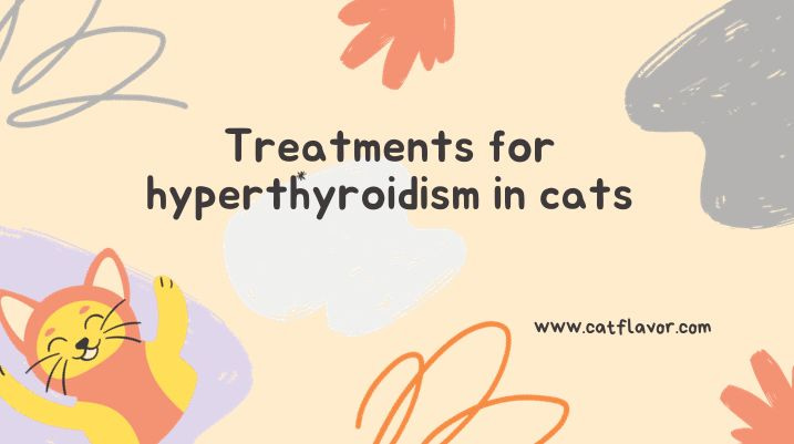 Treatments for hyperthyroidism in cats
