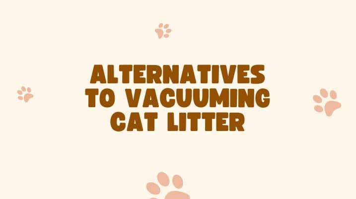 Can You Vacuum Cat Litter, Alternatives to Vacuuming Cat Litter