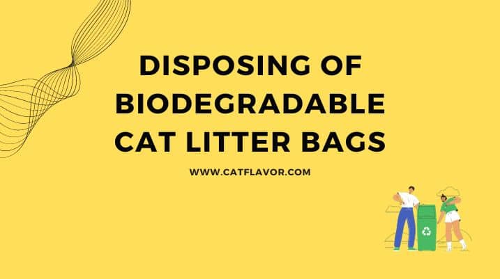 Disposing of Biodegradable Cat Litter Bags
