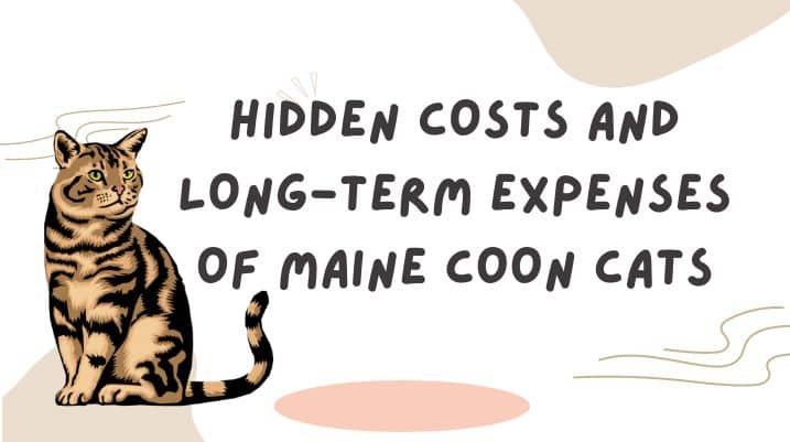 Hidden Costs and Long-Term Expenses of Maine Coon Cats