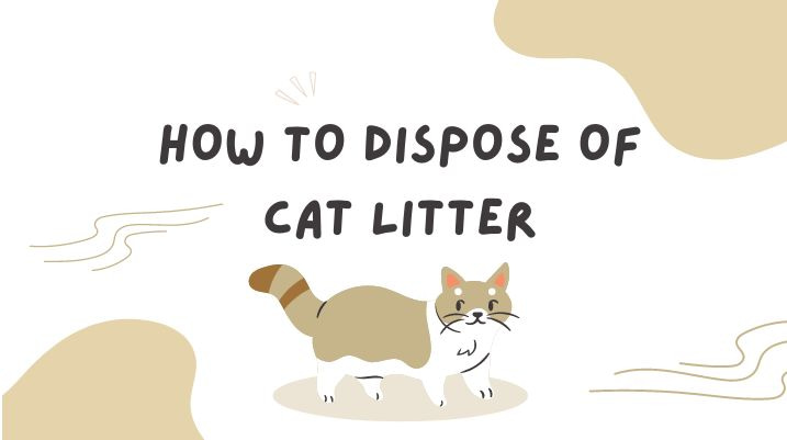 Is It Illegal To Dump Cat Litter | How to dispose of cat litter
