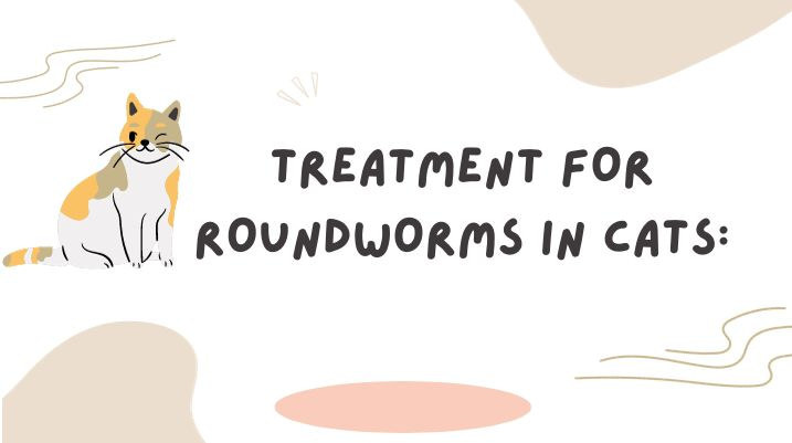 Treatment for Roundworms in Cats