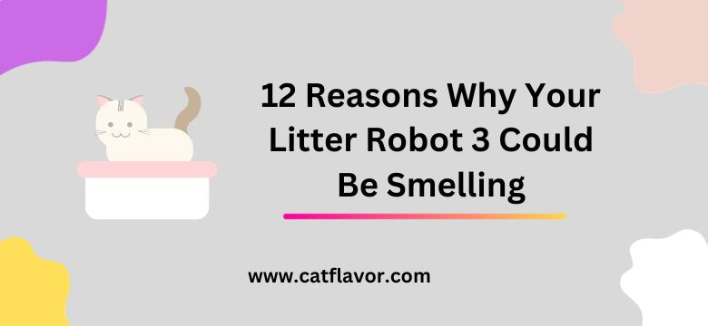 12 Reasons Why Your Litter Robot 3 Could Be Smelling