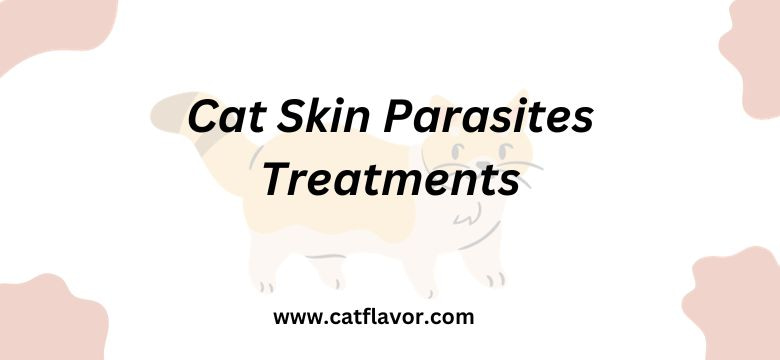 Cat Skin Parasites Treatments