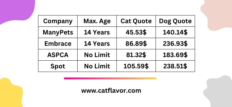 Compare Best Pet Insurance For Old Cats And Dogs
