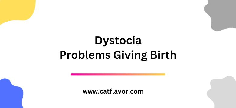 Dystocia; Problems Giving Birth