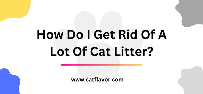 How Do I Get Rid Of A Lot Of Cat Litter