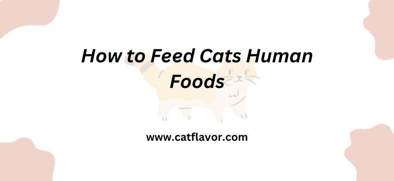 How to Feed Cats Human Foods