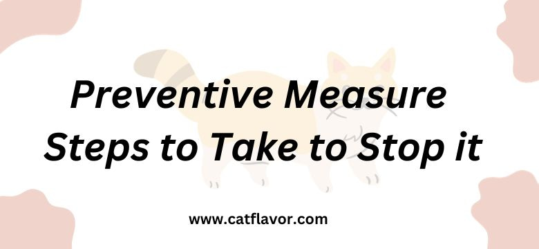 Preventive Measure; Steps to Take to Stop it