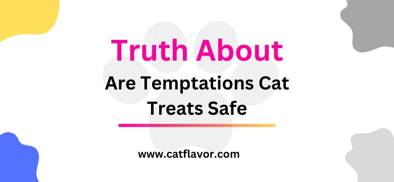 truth about the are cat temtation treats are safe