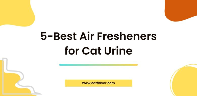 5-Best Air Fresheners for Cat Urine