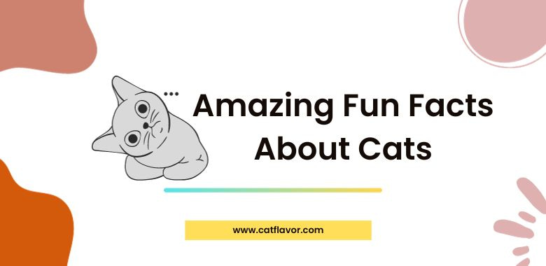 Amazing Fun Facts About Cats
