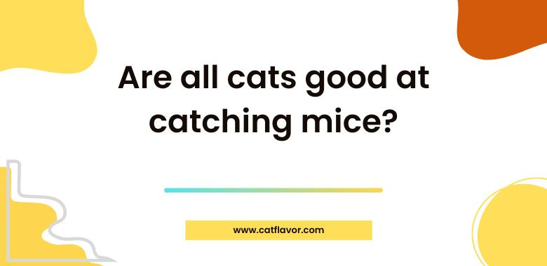 Are all cats good at catching mice 